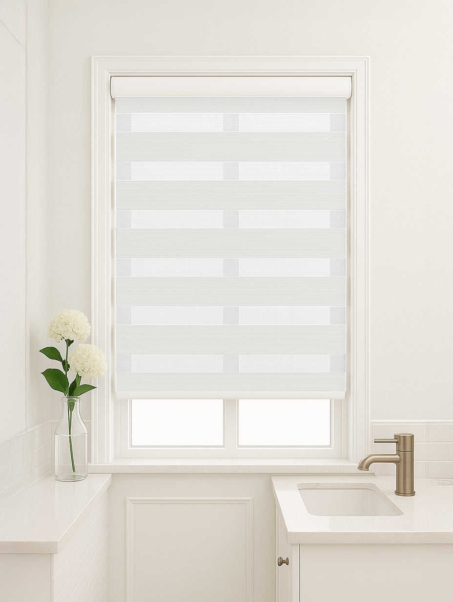 5-in-1 Protective Zebra Blinds