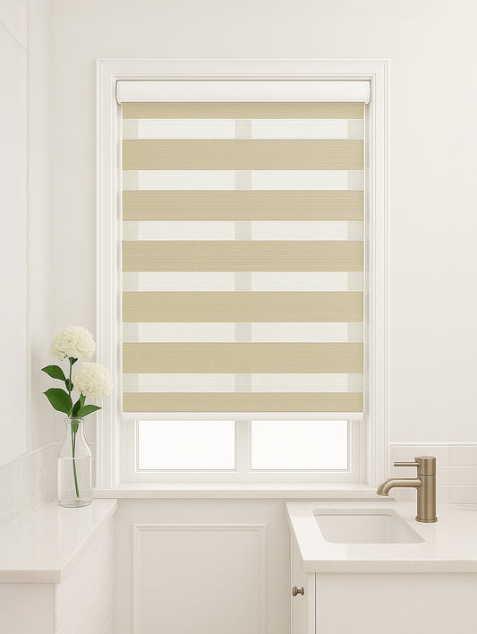 5-in-1 Protective Zebra Blinds
